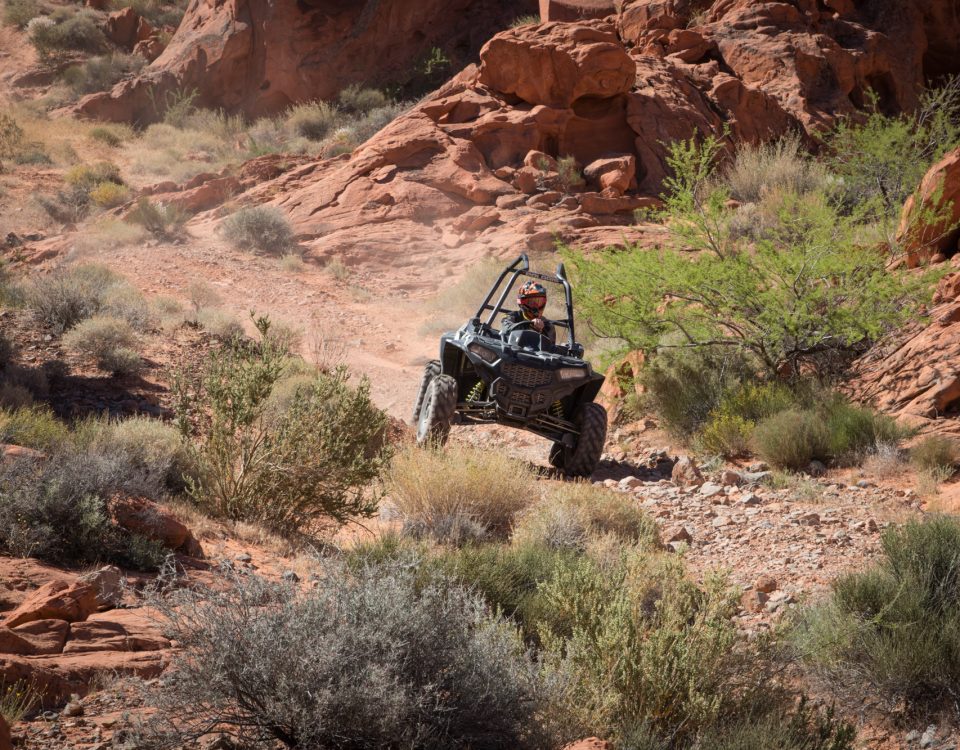 ATV Las Vegas Tour (Choose the Best ATV & RZR Tour in Las Vegas)
