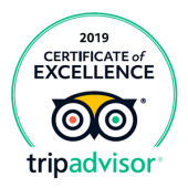 2019-trip-advisor-certificate-of-excellence-big-green white